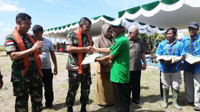Manunggal TNI dan Petani untuk Swasembada Pangan